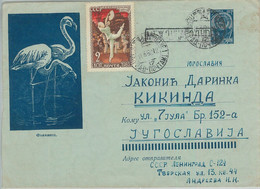 75716 - RUSSIA - POSTAL HISTORY -  Picture STATIONERY COVER  Birds 1962 Flamingo - Flamencos