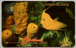 Caymen Islands CW  1CCID  CI$30 "  Fish ( Old Logo ) " - Kaimaninseln (Cayman I.)