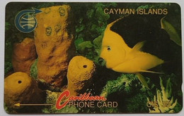 Caumen Islands CW 3CCIC  CI$30 " Fish ( Old Logo ) " - Cayman Islands