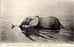 GABON - MISSIONS DES PÉRES DU SAINT-ESPRIT - UN ÉLÉPHANT AU BAIN - Éléphants