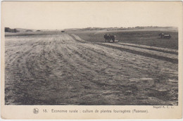 Economie Rurale - Culture De Plantes Fourragères ( Assesse ) - Assesse