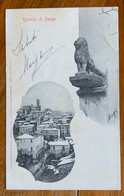 RICORDO DI BARGA (LUCCA) - VIAGGIATA 1902 - P.F.253- 778 - Lucca
