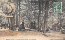 Jupilles       72        Forêt De Berçay. Source De L'Hermitière            (voir Scan) - Otros & Sin Clasificación