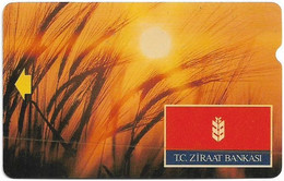 Turkey - TT - Alcatel - R Advert. Series - T.C. Ziraat Bankasi, Sunset, R-082, 60U, 1995, Used - Türkei