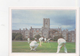 ILE DE MAN, CASTELTOWN, Partie De Cricket, Jeu De Battes, King William's College, Ed. Edito Service 1990 Environ - Ile De Man