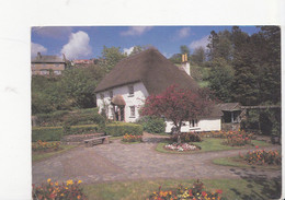 COCKINGTON, Rose Cottage, Maison Toit De Chaume, Ed. Colourmaster 1987 - Torquay