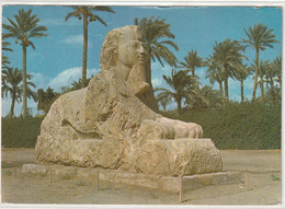 Ägypten, Gizeh, The Sphinx Of Sakkara - Guiza