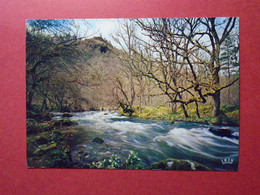 CPM  ENVIRONS D'EGLETONS  CONFLUENT DE LA SOUDEILLE  LES RUINES DU CHATEAU DE VENTADOUR     NON VOYAGEE - Egletons