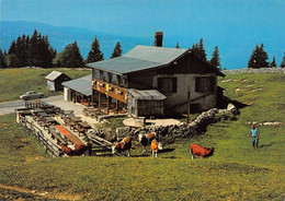 Vaulion Chalet Restaurant De La Dent Vaches - Vaulion