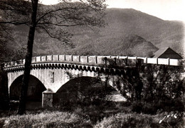 16627 ARUDY  Le Pont Doucine   ( 2 Scans )  64 Pyrénées-Atlantiques - Arudy