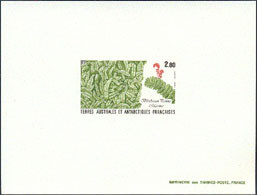 F.S.A.T.(1989) Blechnum Penna Marina Fern. Deluxe Sheet. Scott No 145, Yvert No 143. - Non Dentelés, épreuves & Variétés