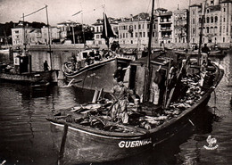 16640  SAINT JEAN DE LUZ Arrivée D'un  Thonier ( Bateau Poisson Pêcheur)  ( 2 Scans )  64 - Fishing Boats