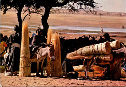 (3 N 45) Haute Volta / Upper Volta (posted To France 1981) Markoye (peoples & Donkey) Now Call Burkina Faso - Burkina Faso