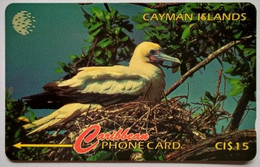 Cayman Islands CW  11CCID  EC$15 " Red Footed Booby " - Islas Caimán