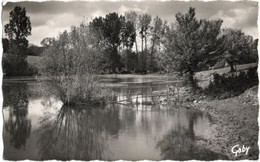 79. Pf. CHAMPDENIERS. Etang De Neufchaise. 20 - Champdeniers Saint Denis