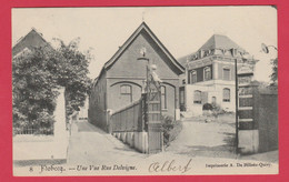 Flobecq - Une Vue Rue Delvigne - 1906 ( Voir Verso ) - Flobecq - Vloesberg