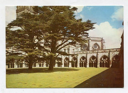 AK 105459 ENGLAND - Salisbury - Cathedral - The Cloisters - Salisbury