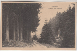 C2983) LAASPHE - Partie Aus Dem Wabachtal ALT - Bad Laasphe