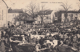 Xertigny.  La Foire Au Bétail - Xertigny
