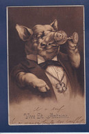 CPA Cochon Pig Position Humaine écrite - Schweine