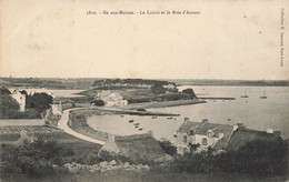 Ile Aux Moines * Le Lairio Et Le Bois D'amour - Ile Aux Moines