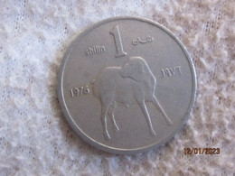 Somalia 1 Shilling 1976 - Somalie