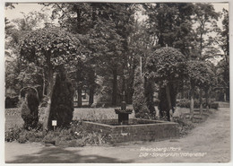 C3074) RHEINSBERG / Mark - Diät Sanatorium HOHENELSE - Park Brunnen - Rheinsberg