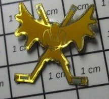 1617 Pins Pin's / Rare & Belle Qualité SPORTS / HOCKEY SUR GLACE HOCKEYEUR CROSSES PALET - Sports D'hiver