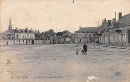 Le Lude      72       Place Du Champ De Foire .. Hôtel Chignard    N° 43   (voir Scan) - Andere & Zonder Classificatie