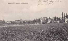 37. GENILLE. CPA. VUE GENERALE. + TEXTE ANNEE 1916 - Genillé