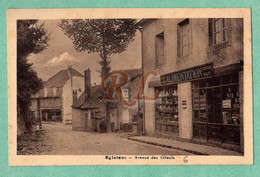 19 - Corrèze - EGLETONS - - Avenue Des Tilleuls - Epicerie - C275 - Egletons