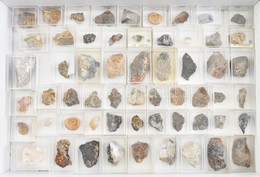 58 Darabos Vegyes ásvány, Fosszília Gyűjtemény, Szépen Egyesével Tárolva, Nagyrészt Feliratozva. (Amoniteszek, Kacoxenit - Sonstige & Ohne Zuordnung