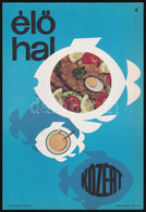 Cca 1960 Közért, élő Hal, Villamosplakát 23,5x16,5 Cm - Sonstige & Ohne Zuordnung