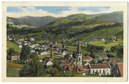 EBNAT-KAPPEL: Teilansicht Coloriert ~1920 - Ebnat-Kappel