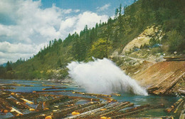 Naicam, Saskatchewan  Log Pond - Andere & Zonder Classificatie