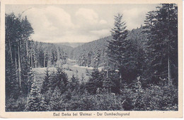 Bad Berka Bei Weimar Der Dambachsgrund AK OB646 - Bad Berka