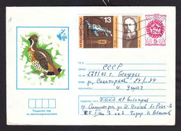 ENVELOPE. BULGARIA. MAIL. 1983 - 5-25 - Covers & Documents