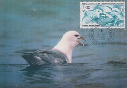 Carte Maximum  1er  Jour   T.A.A.F   Oiseau  :  Fulmar  Antarctique   1986 - Mouettes