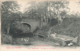 Fronton * Vue Sur Le Pont Et Le Lavoir * Laveuse - Autres & Non Classés