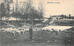 CPA France - 21 - AUXONNE - Pâturage - Moutons - Berger - Agriculture - Prély édit - Auxonne