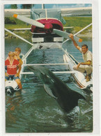 SPECTACLE 496 Carte Photo , Flipper Le Dauphin Avec Brian Kelly , Tommy Norden Et Luke Halpin Sur Un Hydravion - Séries TV