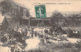 CPA FRANCE - 17 - CHATELAILLON - La Nature Pour Tous - Châtelaillon-Plage