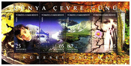 Turkey, Türkei - 2008 - THE WORLD ENVIRONMENT DAY GLOBAL WARMING - 1.Mini S/Sheet ** MNH - Ungebraucht