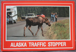 USA UNITED STATES ALASKA MOOSE POSTCARD CARD CARTE POSTALE ANSICHTSKARTE CP PC AK POSTKARTE TARJETA POSTAL - Fairbanks