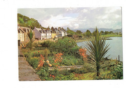 Cpm - Plockton Village En Écosse - ROSS-SHIRE - Village - 1989 - Fleur Yucca - Ross & Cromarty