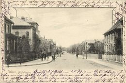 UELZEN, Höftstrasse (1901) AK - Uelzen