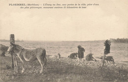 Ploermel * Lavoir Laveuses Lavandières Blanchisseuses * âne Donkey - Ploërmel