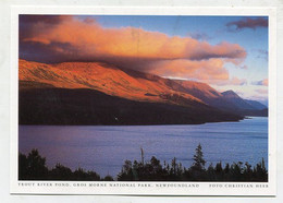 AK 105694 CANADA - Newfoundland - Gros Morne National Park - Trout River Pond - Otros & Sin Clasificación