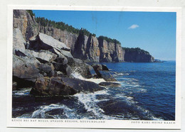 AK 105695 CANADA - Newfoundland - Avalon Region - Küste Bei Bay Bulls - Sonstige & Ohne Zuordnung