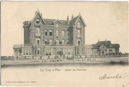 De Haan  - Coq S/Mer   *  Hotel Des Familles  (Hoffmann 3184) - De Haan